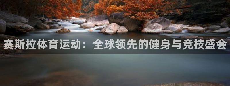 球新体育