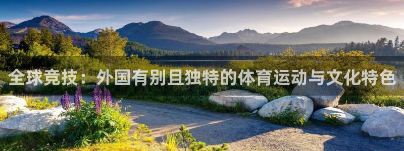 关键词：全球竞技：外国有别且独特的体育运动与文化特色