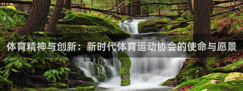 球新体育：体育精神与创新：新时代体育运动协会的使命与愿景