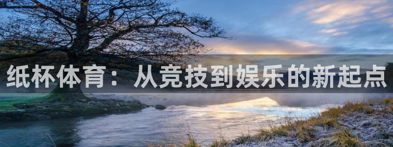 球新体育：纸杯体育：从竞技到娱乐的新起点