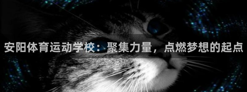 球新体育