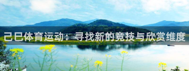 球新体育