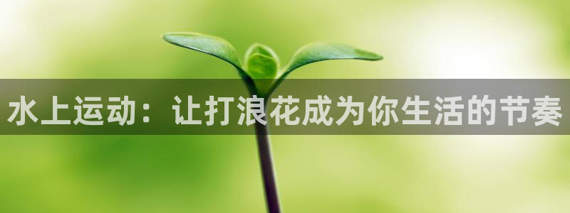 关键词