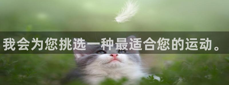 关键词