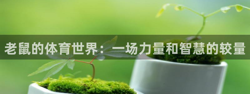 关键词